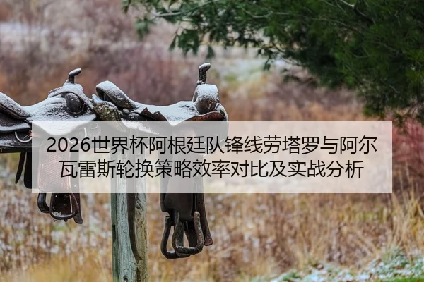 2026世界杯阿根廷队锋线劳塔罗与阿尔瓦雷斯轮换策略效率对比及实战分析